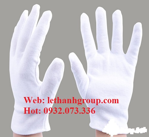 bao tay thun cotton