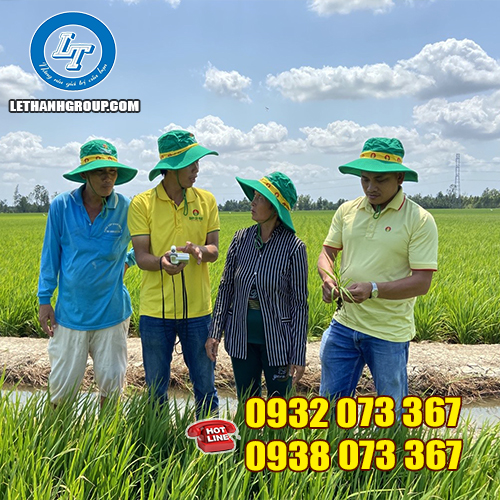 BỎ SỈ NÓN TAI BÈO NAM NỮ GIÁ TẠI XƯỞNG NÓN TAI BÈO VẢI KAKI