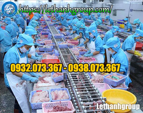 Ứng dụng nón trùm đầu thủy sản nón trùm đầu thủy sản màu xanh