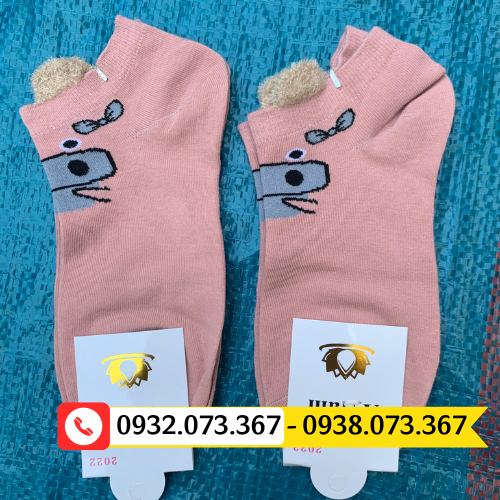 Kho sỉ vớ chân nữ Quảng Châu giá rẻ đẹp tất chân nữ cổ ngắn màu hồng