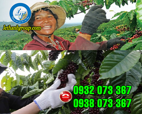 BÁN SỈ RẺ BAO TAY LEN NAM NỮ ĐẸP GIÁ HẤP DẪN ỨNG DỤNG BAO TAY LEN NAM NỮ