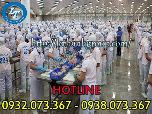 Ủng cao su Thùy Dương dùng trong thủy hải sản Ủng cao su Thùy Dương dùng trong thủy hải sản