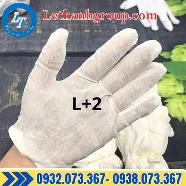 BAO TAY VẢI THUN TRẮNG L + 2