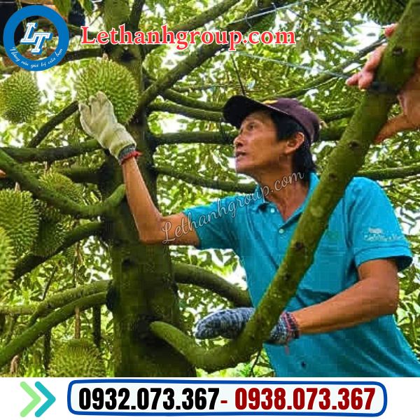 ứng dụng bao tay len xám đen bảo hộ giá rẻ