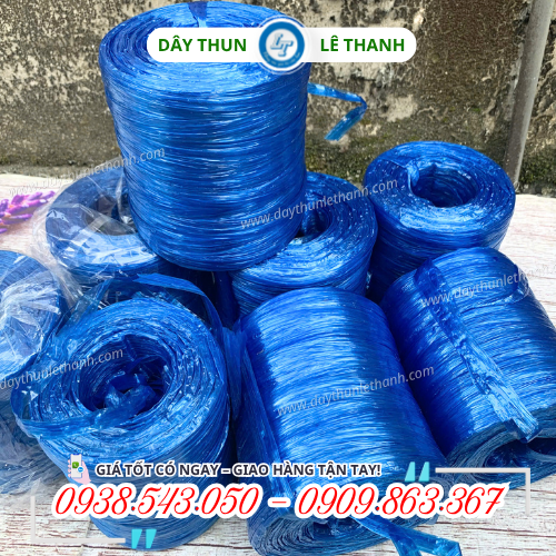 Dây nilon cuộn nem bóng đẹp nổi bật Dây nilon cuộn nem bóng đẹp nổi bật