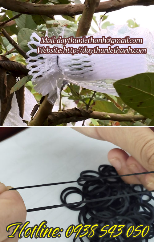 thun cột ổi đen 12mm co dãn tốt thun cột ổi đen 12mm co dãn tốt