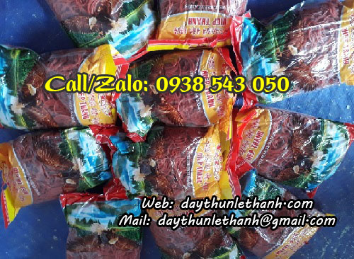 Dây thun đại bàng đóng gói 500g/bịch