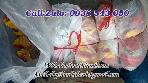 dây thun con ó đóng 10kg/bao