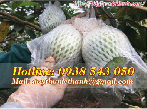 Công dụng thun đen 12mm Công dụng thun đen 12mm