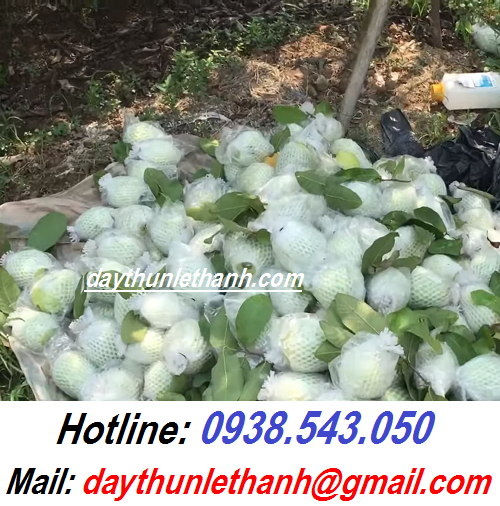 DÂY THUN ĐEN CỘT ỔI