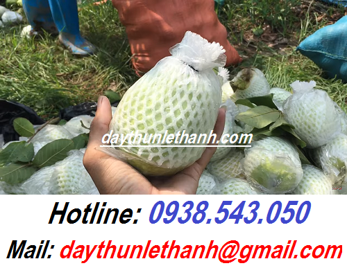 DÂY THUN ĐEN CỘT ỔI