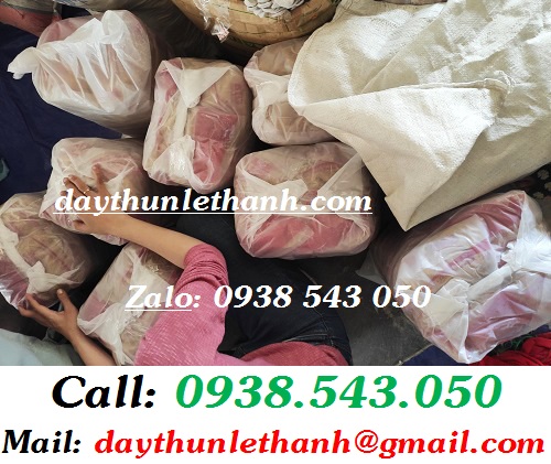 ĐÓNG BAO DÂY THUN