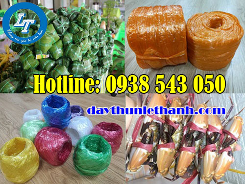 Một số ứng dụng dây nilon trong cuộ sống Một số ứng dụng dây nilon trong cuộ sống