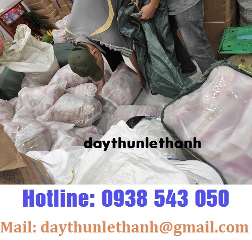 ĐÓNG GÓI DÂY THUN