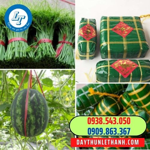 công dụng dây nilon nem cuộn cột nem chả công dụng dây nilon nem cuộn cột nem chả