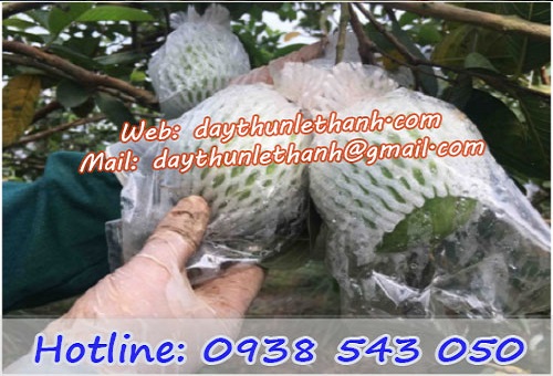 Công dụng của thun đen