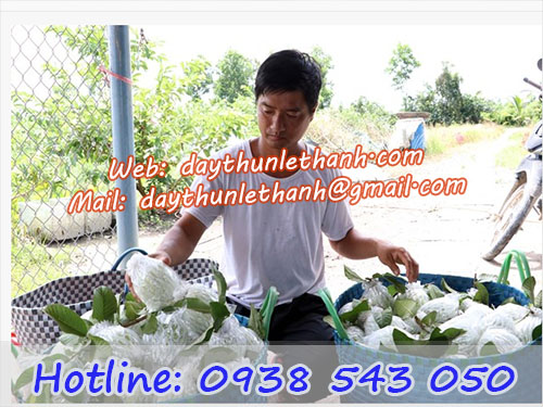 Công dụng thun đen