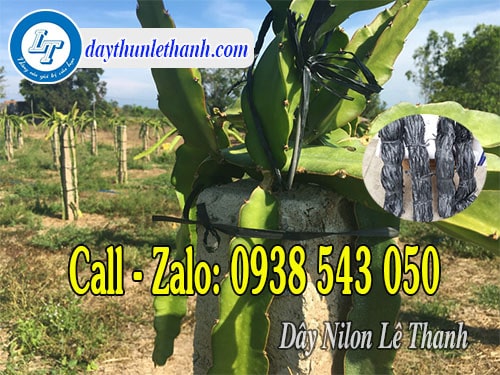 Dây nilon kẽm khô màu đen cột cây thanh long Dây nilon kẽm khô màu đen cột cây thanh long