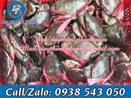 Dây nilon ống 1kg chất lượng, giá rẻ tại Lê Thanh Dây nilon ống 1kg chất lượng, giá rẻ tại Lê Thanh