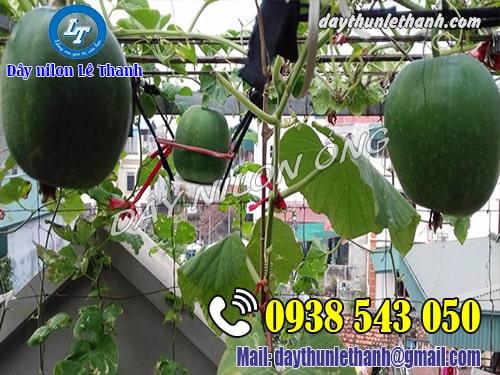 ứng dụng của dây nilon ứng dụng của dây nilon