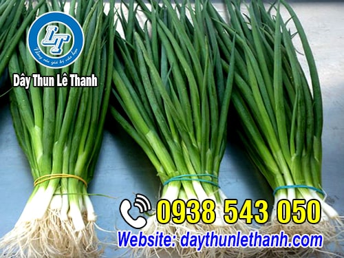 Dây thun khoanh nhiều màu dùng cột rau Dây thun khoanh nhiều màu