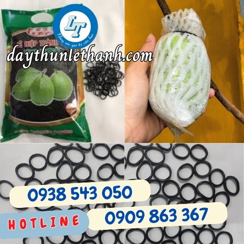 dây thun cột ổi dây thun cột ổi