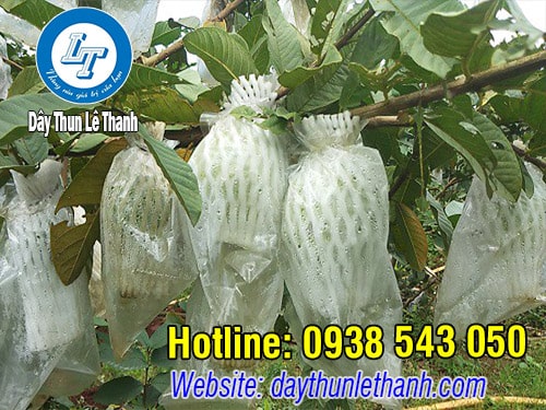 Lưới xốp bọc ổi giá rẻ Lưới xốp bọc ổi