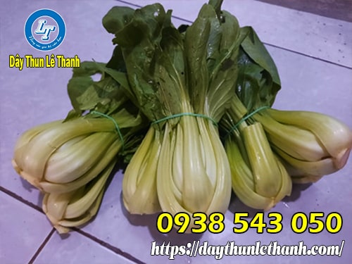 Dây thun khoanh cao su cột rau Dây thun khoanh cao su