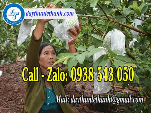 Dây thun màu đen chịu nhiệt Dây thun màu đen chịu nhiệt