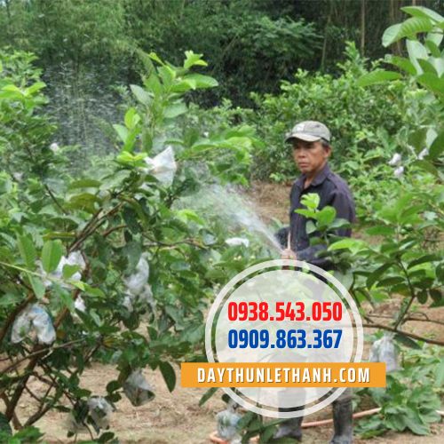 Dây thun màu đen 12mm cột ổi Dây thun màu đen 12mm