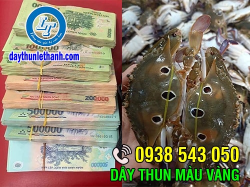 Dây thun màu vàng