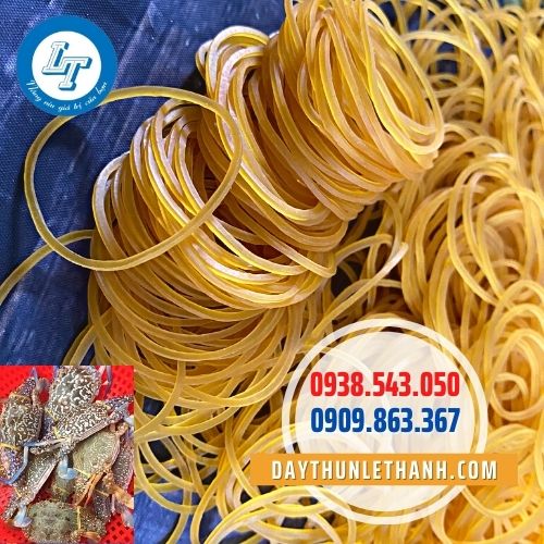 Dây thun màu vàng size 38mm Dây thun màu vàng size 38mm