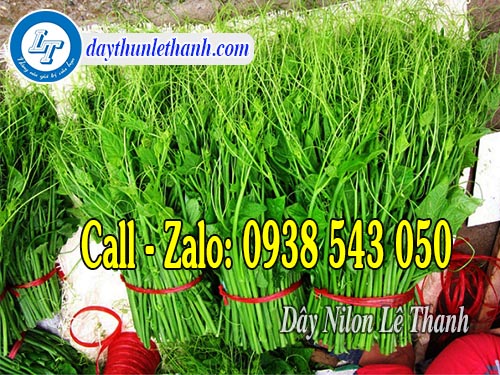 Dây nilon kẽm nhuyễn dùng cột rau Dây nilon kẽm nhuyễn