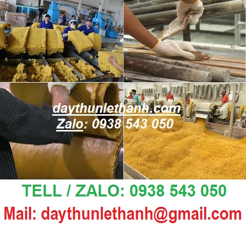 SẢN XUẤT DÂY THUN KHOANH