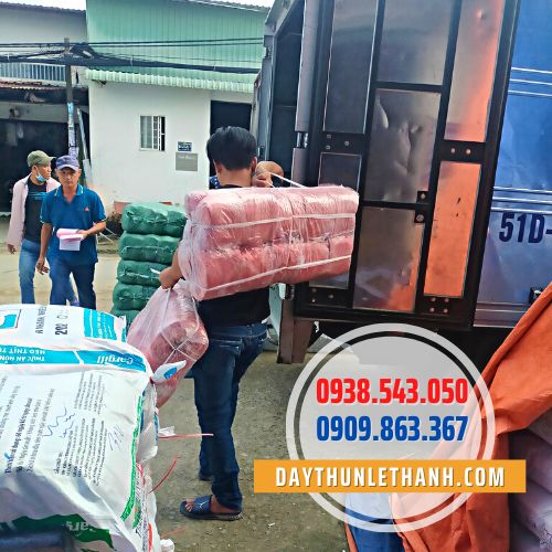 Giao hàng dây nilon