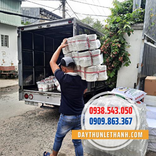 Giao hàng dây nilon