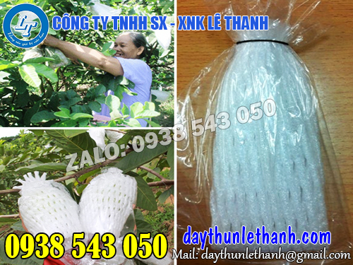 Lưới xốp bọc ổi giá rẻ Lưới xốp bọc ổi