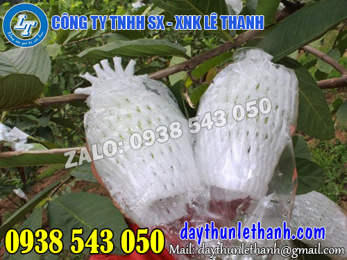 Lưới xốp bọc ổi Lưới xốp bọc ổi