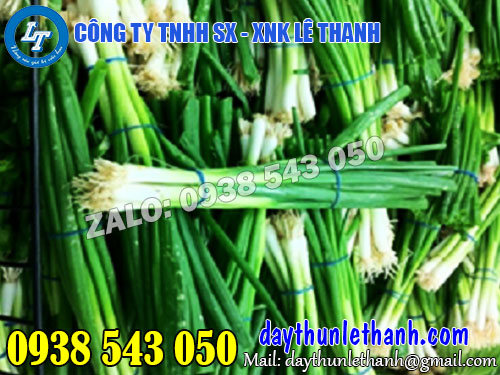 Dây thun màu xanh chất lương, giá tốt, giao hàng nhanh Dây thun màu xanh chất lương, giá tốt, giao hàng nhanh