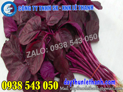 Thun màu đỏ dùng cột rau Thun màu đỏ dùng cột rau