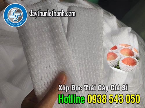 Túi bọc trái cây giá sỉ rẻ Túi bọc trái cây
