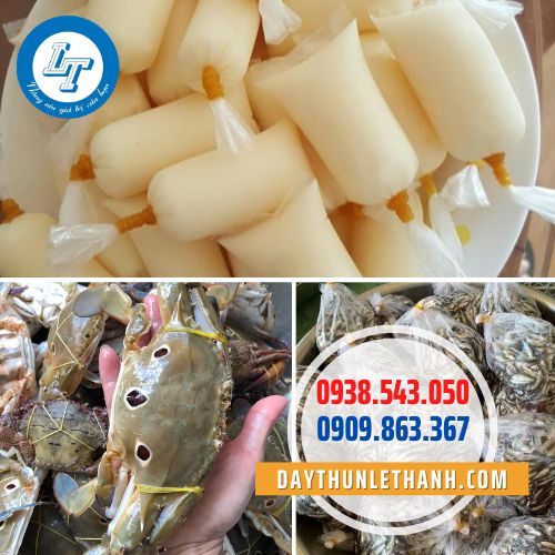 Ứng dụng dây thun Ứng dụng dây thun