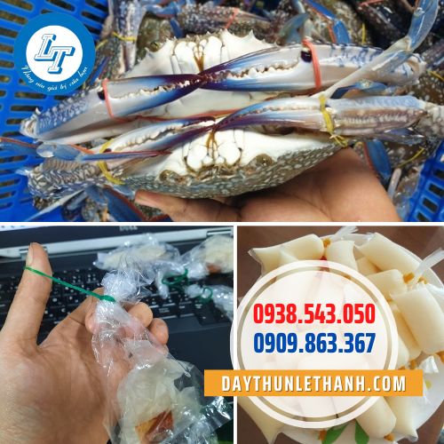 Ứng dụng của dây thun Dây thun đại bàng