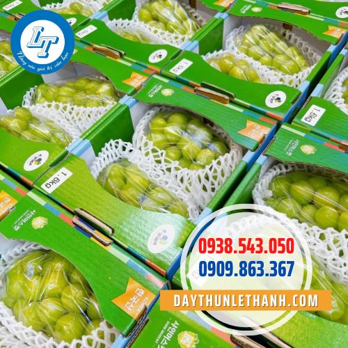 Xốp lưới bọc nho xuất khẩu Xốp lưới bọc nho xuất khẩu