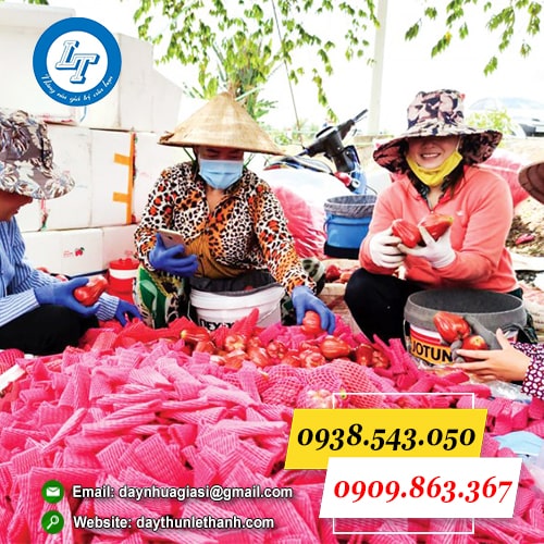 Xốp bọc trái cây màu đỏ đẹp mắt Xốp bọc trái cây màu đỏ đẹp mắt