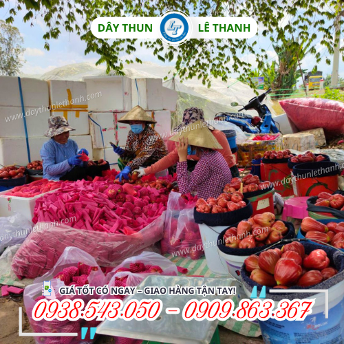 Xốp lưới bọc trái cây nhanh chóng Xốp lưới bọc trái cây nhanh chóng