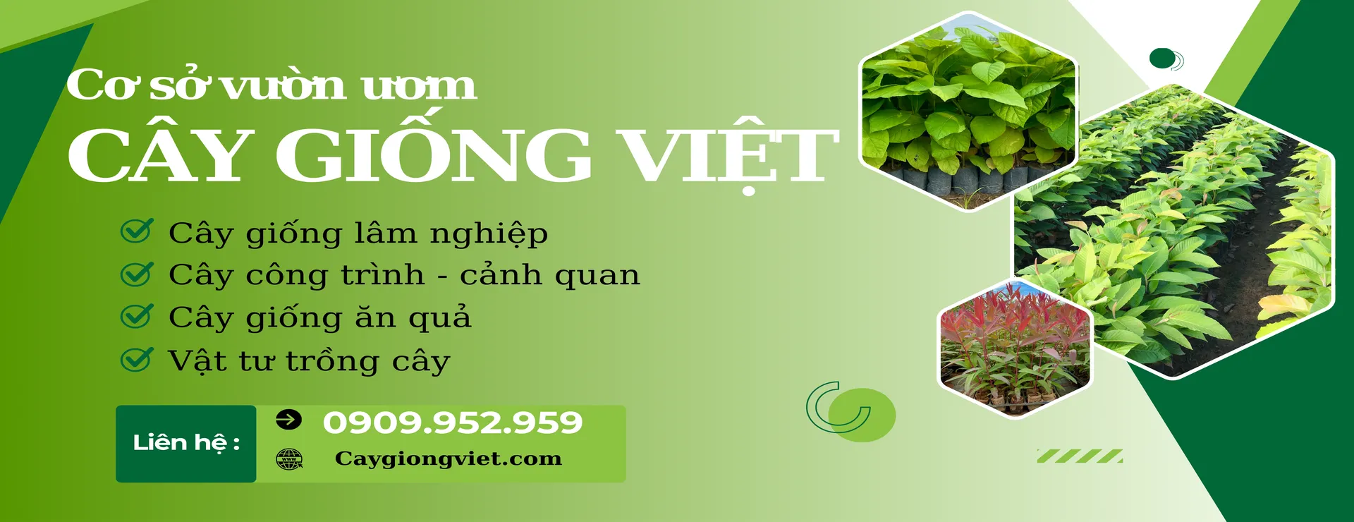 Vườn Ươm Cây giống việt