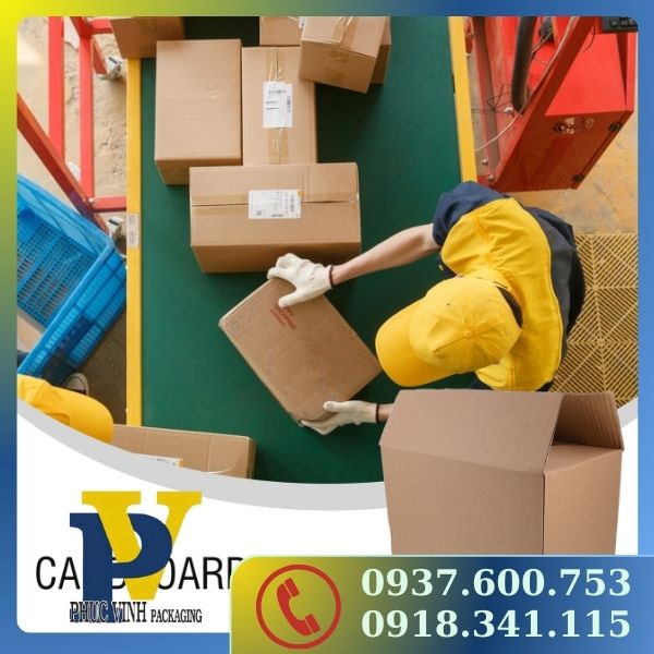 Quy Trình Sản Xuất Thùng Carton Đóng Hàng Bắt Đầu Từ Bột Giấy, Qua Nhiều Công Đoạn Hiện Đại