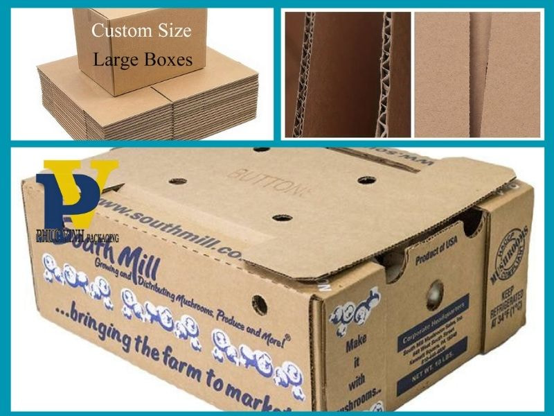 Tại Sao Cần Sử Dụng Thùng Carton Chịu Lực Cho Sản Phẩm Xuất Khẩu? Tìm Hiểu Ngay Để Đảm Bảo Sản Phẩm Của Bạn An Toàn Và Không Bị Hư Hại Trong Quá Trình Vận Chuyển