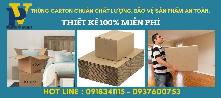 Thùng Carton đóng hàng